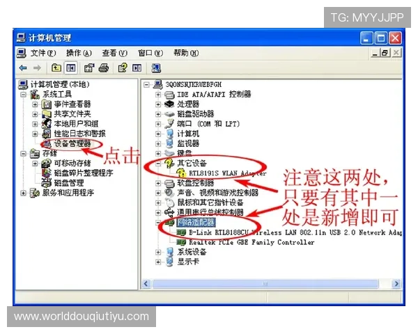 斗球电脑版下载安装常见问题及解决方案帮助玩家无忧完成软件安装